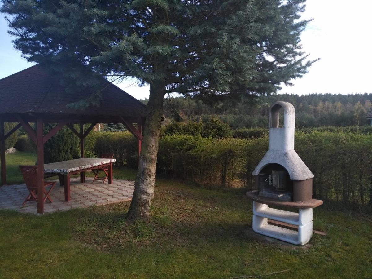 Villa Danuta- Wiselka, Direct At National Park, Big Garden, 4 Bedrooms, Private Sauna Exterior foto